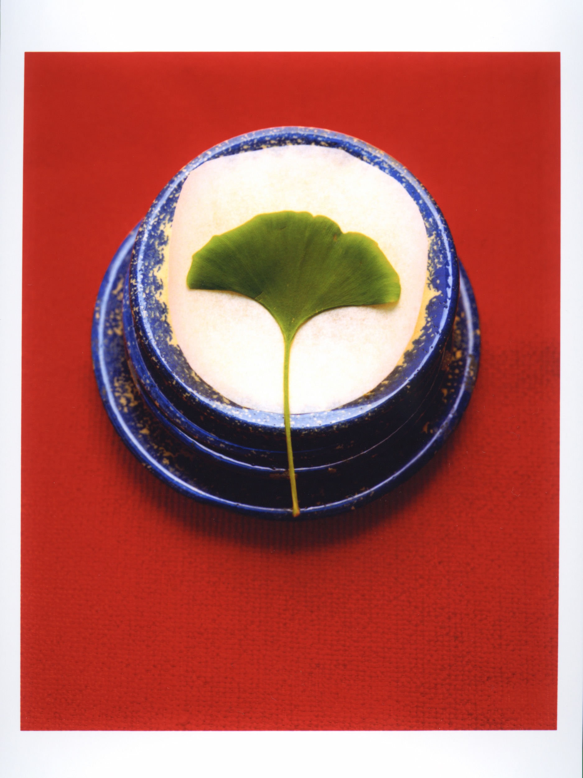 Artwork 5