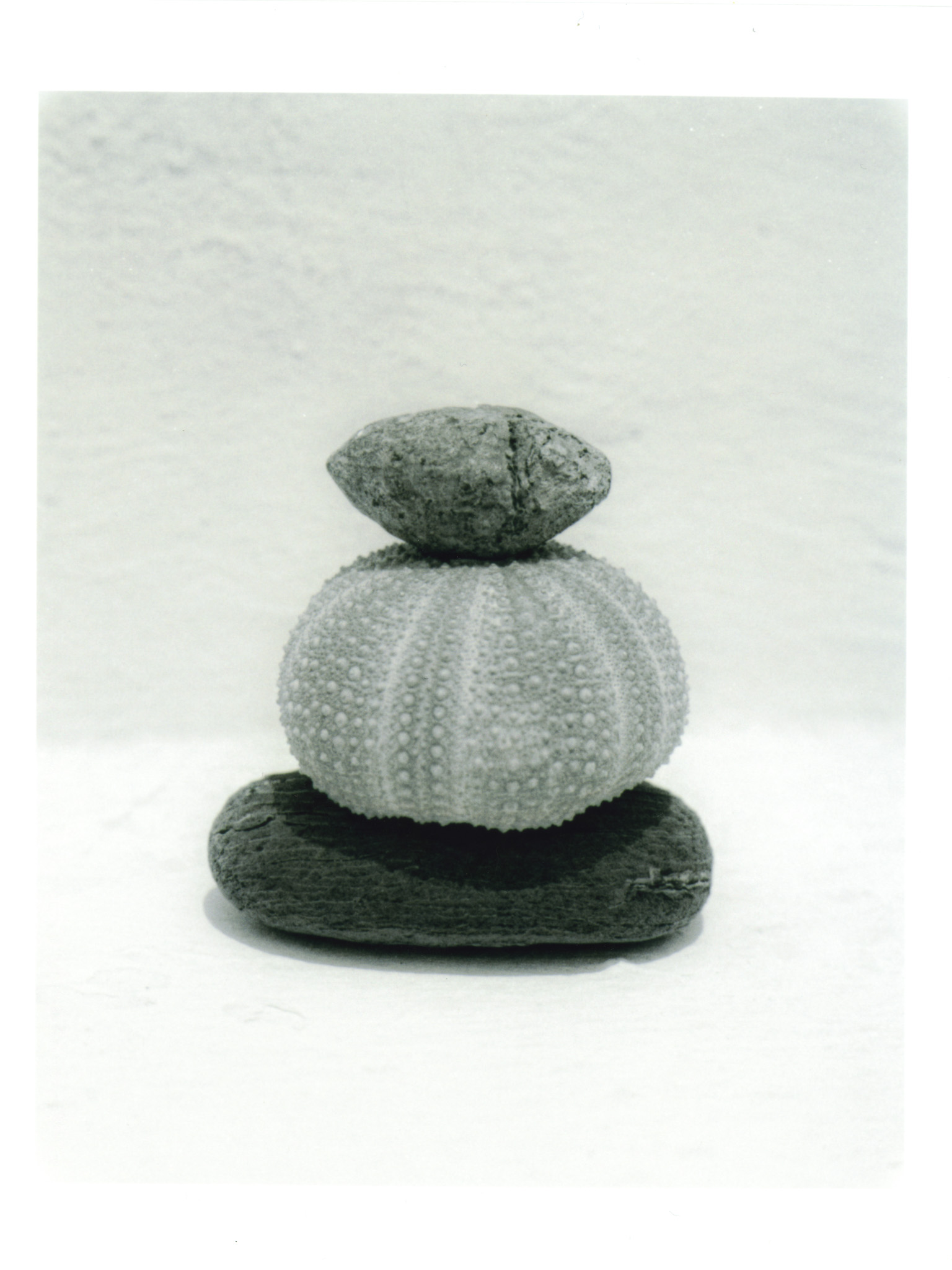 Artwork 6